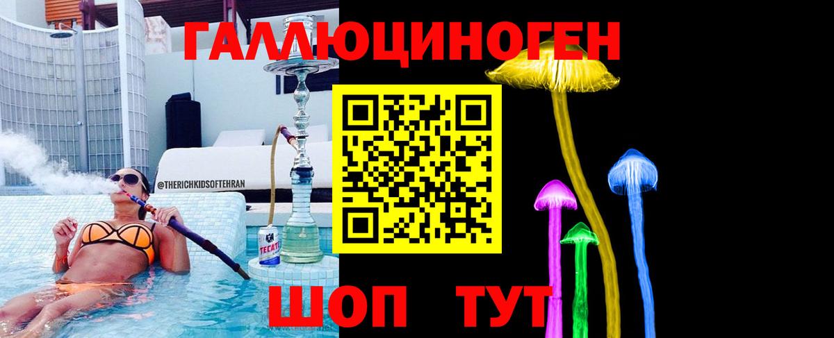 Дербент  Галлюциногенные грибы Psilocybine cubensis  Вход с VPN 