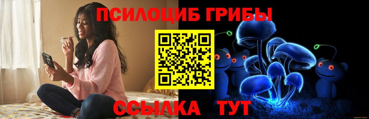 Галлюциногенные грибы Psilocybe Дербент